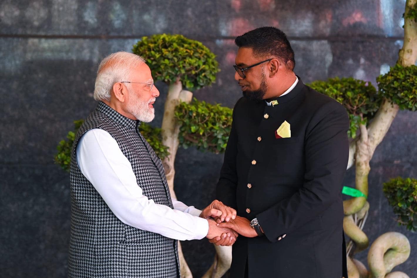 Prime Minister Modi and President Ali